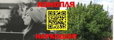 прущие грибы Партизанск