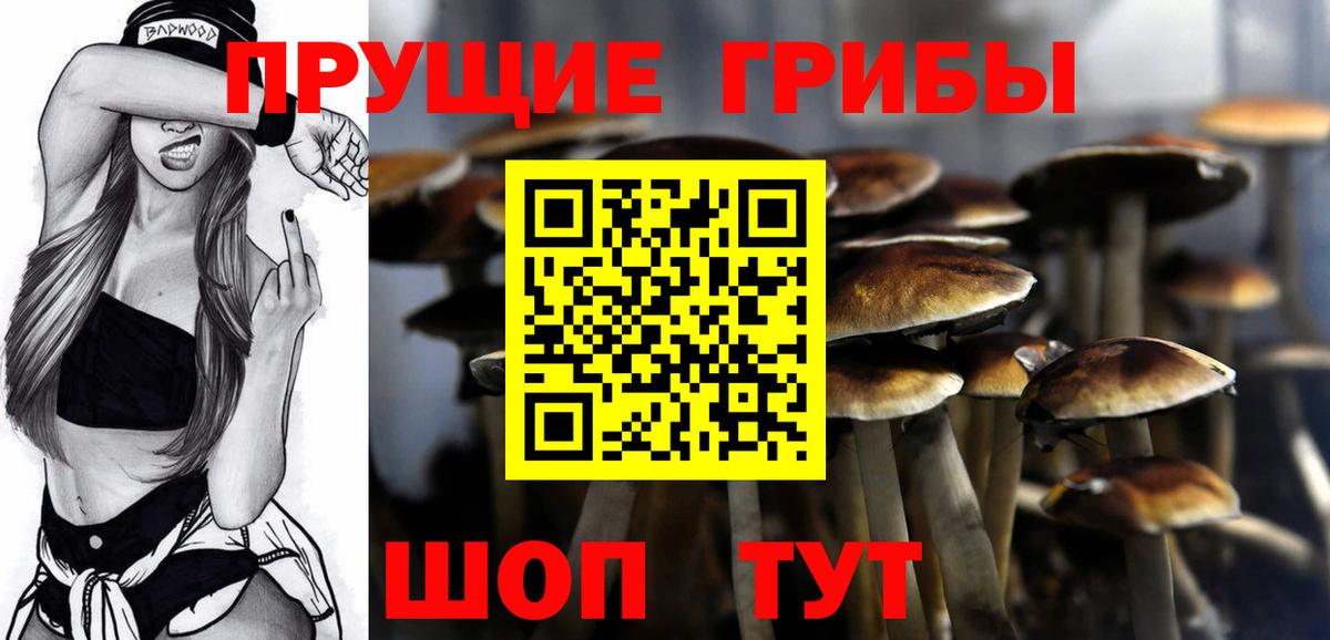 Псилоцибиновые грибы ЛСД  купить закладку  Вход с VPN  Татарск  Псилоцибиновые грибы Cubensis 